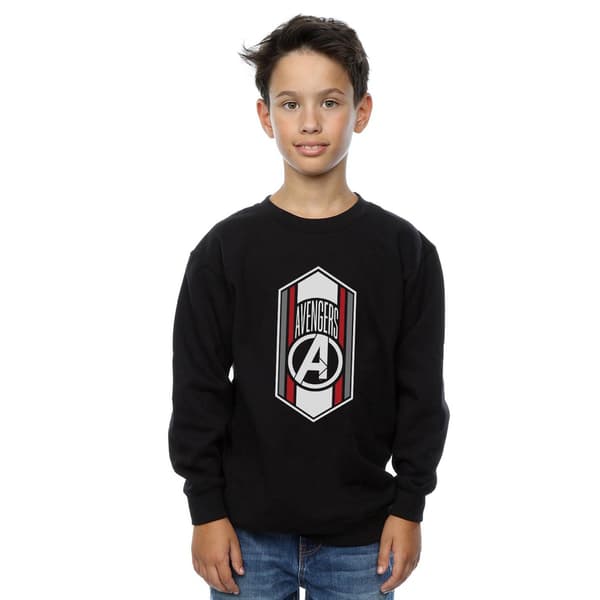Marvel Boys Avengers Endgame Team Icon Sweatshirt