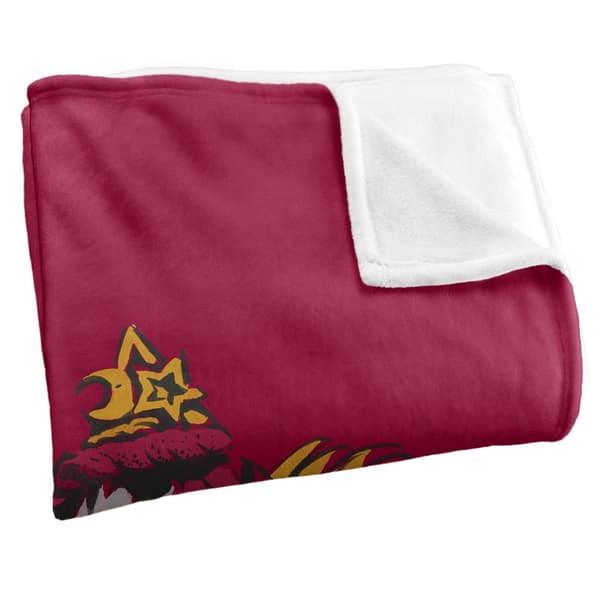 Harry Potter Gryffindor Painted Blanket