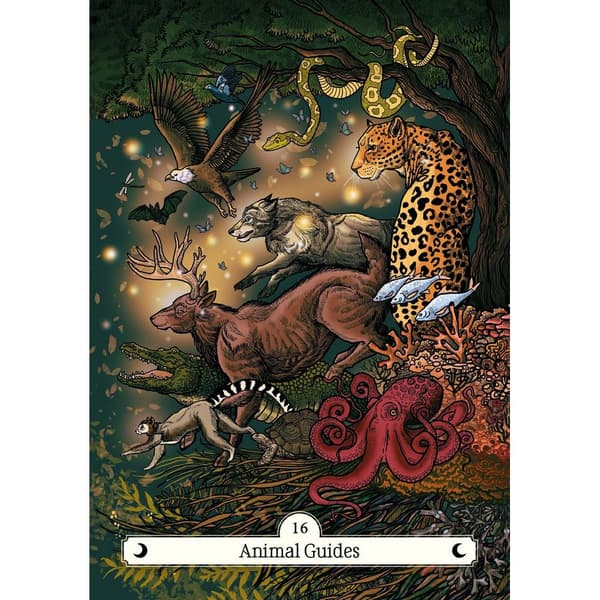 Something Different The Witch´s Way Home Oracle Cards