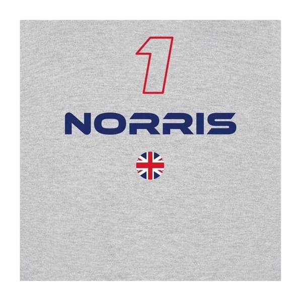 AWD Mens Norris Formula 1 Sweatshirt