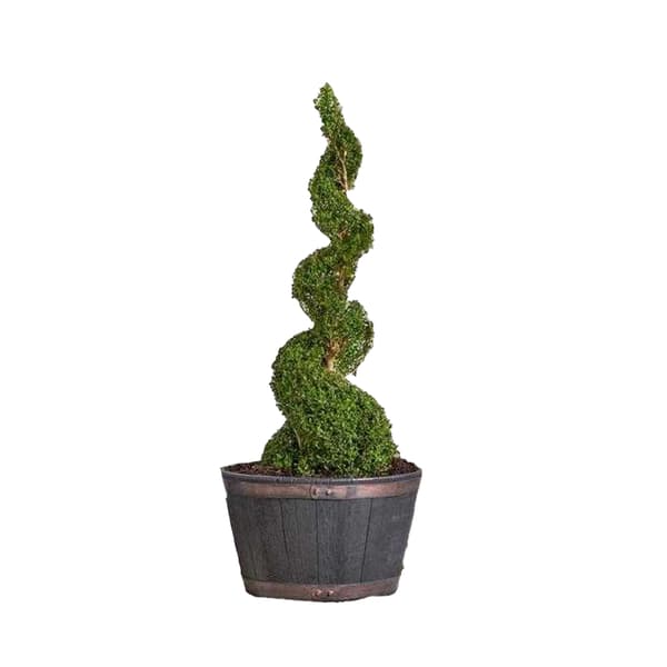 Strata Barrel Oak Planter
