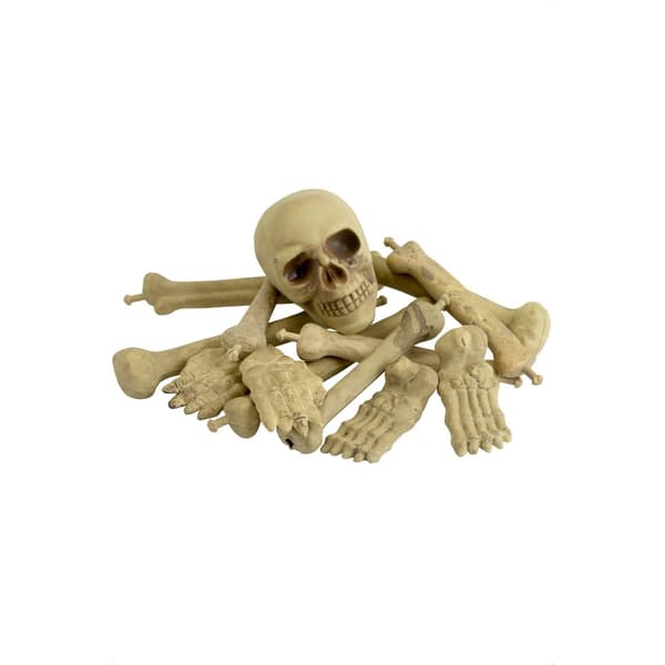 Smiffys Bones & Skull Prop