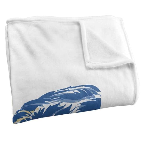 Superman Cannot Hide Xray Vision Blanket