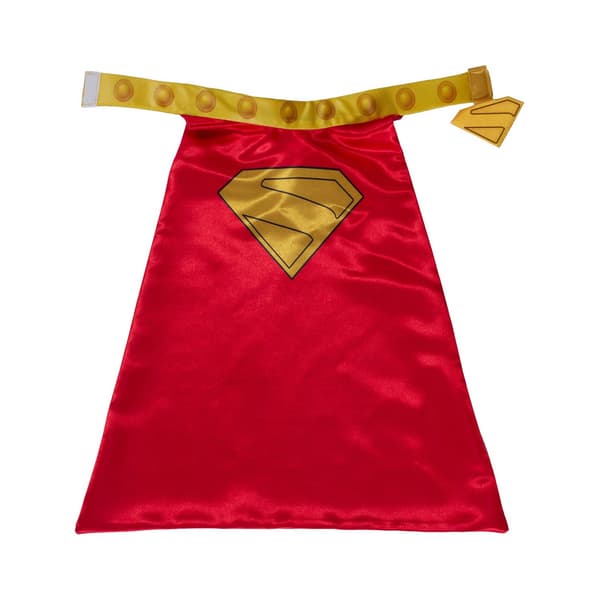 Teräsmies Krypto Koiran Asu