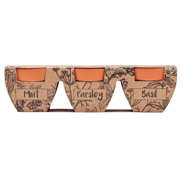 MidOcean Blomkruka Terrakotta Örtfrön Växtkruka (3-pack)