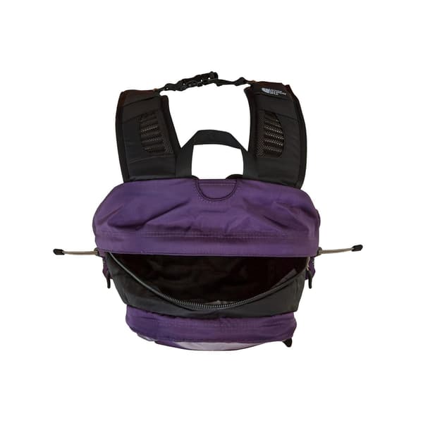 The North Face Hot Shot Backpack