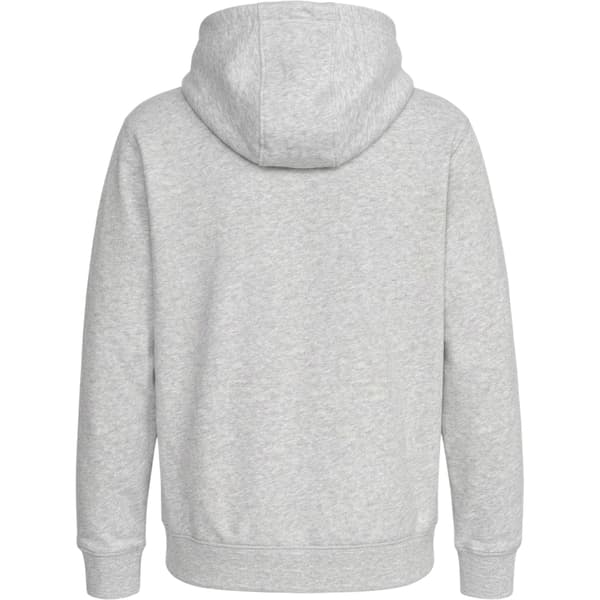 Tommy Jeans Herr Regular Hoodie