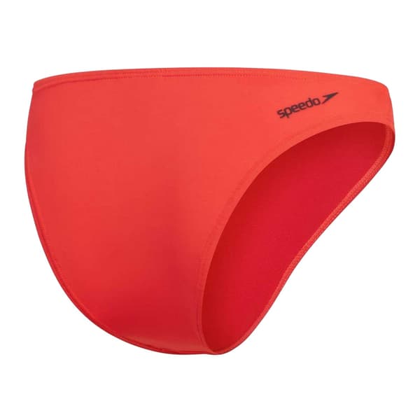 Speedo Womens/Ladies Plain Swim Briefs