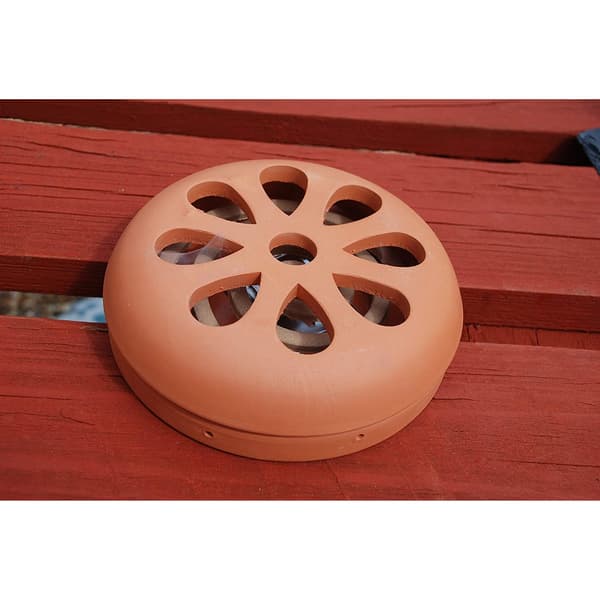 The Buzz Citronella brännspiraler (6-pack)