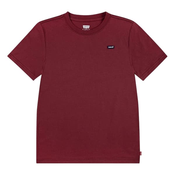 Levis Boys Regular Batwing T-Shirt