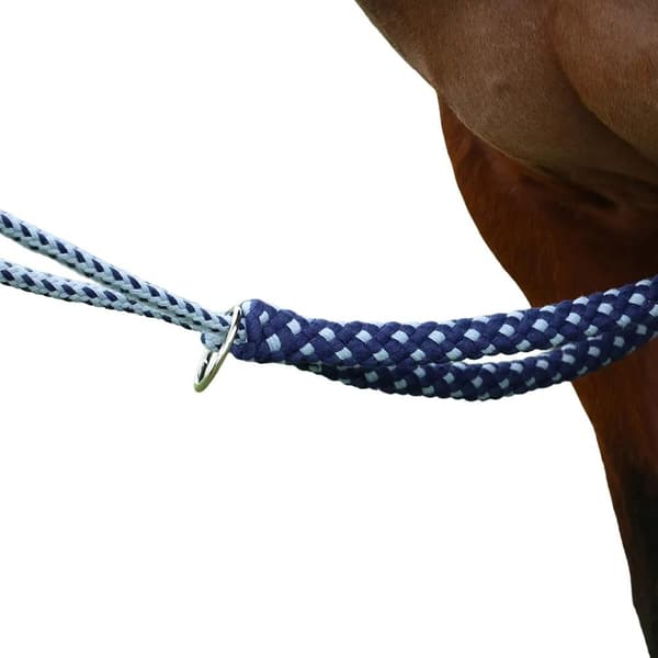 Hy Horse Lunging Aid