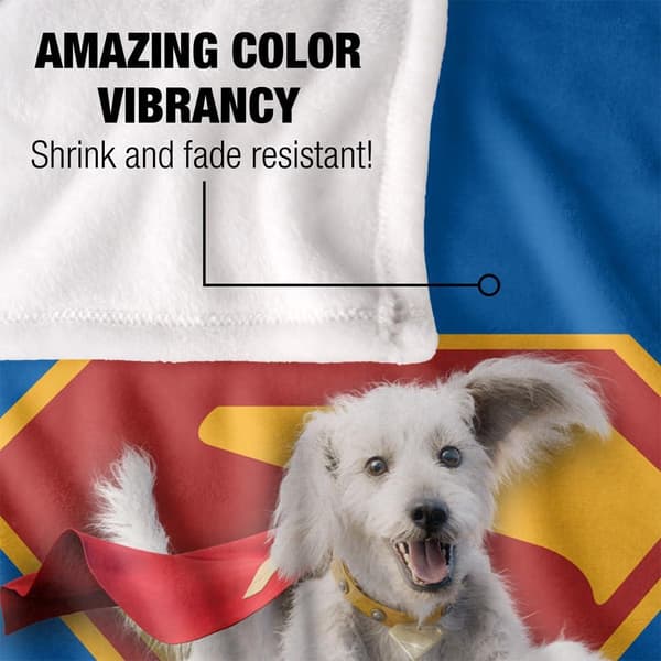 Superman Krypto The Super Dog Shield Blanket