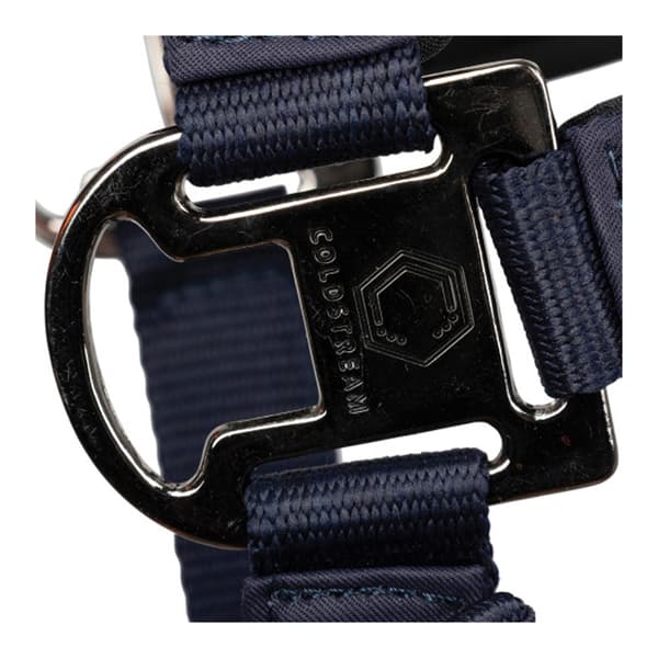 Coldstream Paxton Padded Head Collar & Lead Rope