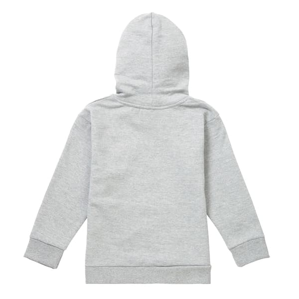 Star Wars: Young Jedi Adventures Barn/Kids Force Is With Us Heather Pullover Hoodie