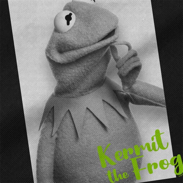 Muppetit Kermit-kassikassi
