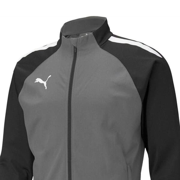 Puma Herr TeamLIGA Träningströja