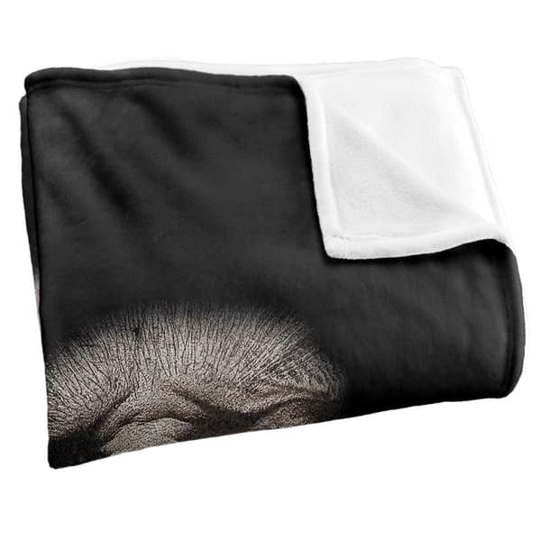 Harry Potter Group Shot Death Eater Blanket