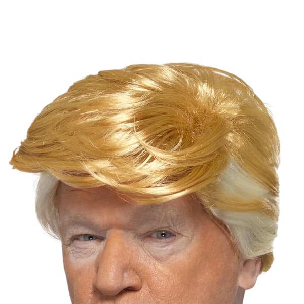 Smiffys President Wig