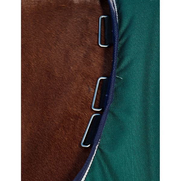 Weatherbeeta Comfitec Plus Dynamic Standard-Neck Logo -hevosen ulkoloimi