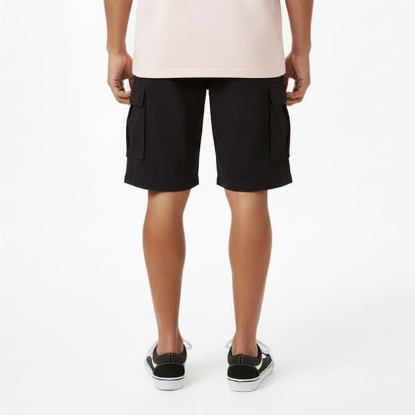 Dickies Shorts til mænd