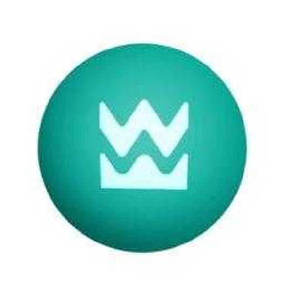 Waboba Beach Pickleball Paddelset
