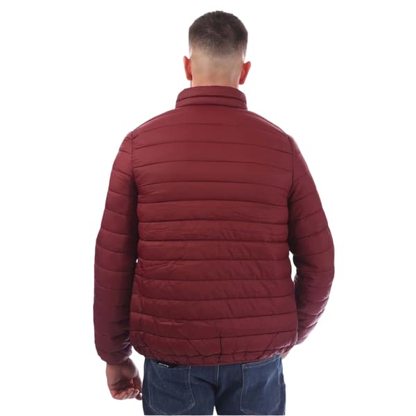 Aquascutum Pufferjacka för män