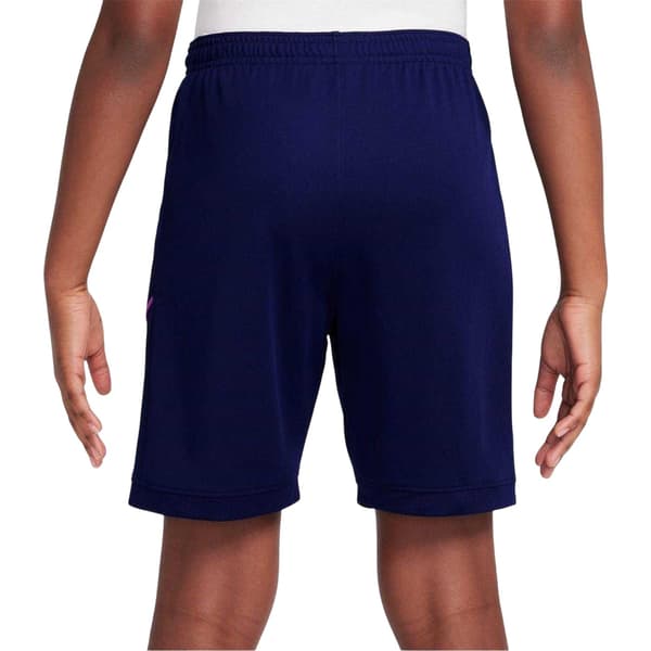 Nike Barn/Kids Grafiska Tryck Shorts