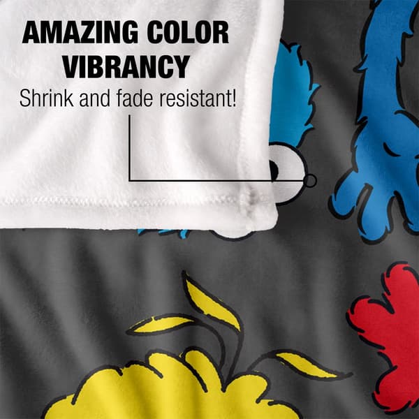 Sesame Street Group Pose Blanket