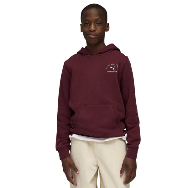 Puma Barn/Kids Classraphic Hoodie