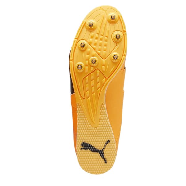 Puma Unisex Vuxen Evospeed Löparskor