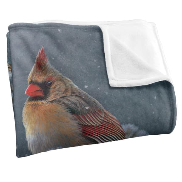 JQ Licensing Silky Cardinal Supersoft Filt