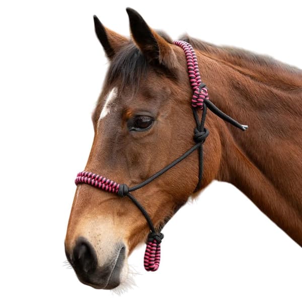 Hy Double Braided Rope Halter