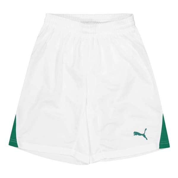 Puma Barn/Kids Team Shorts