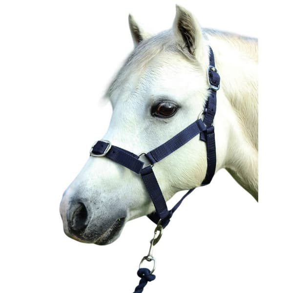 Gallop Grimma och Grimskaft i Nylon