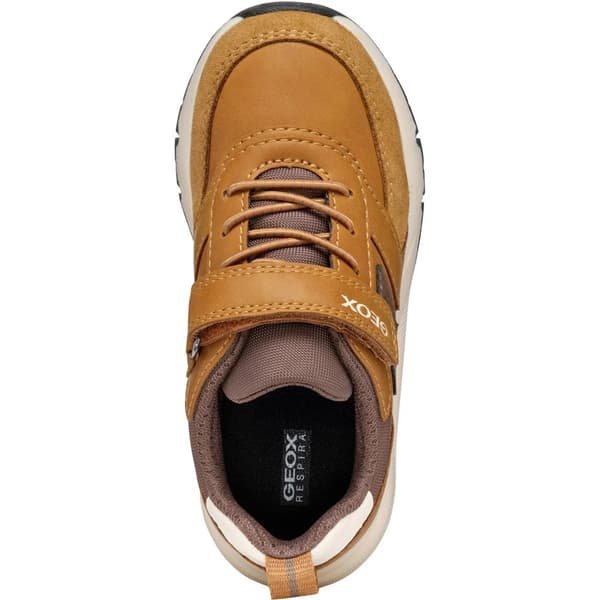 Geox Boys Rooner Trainers