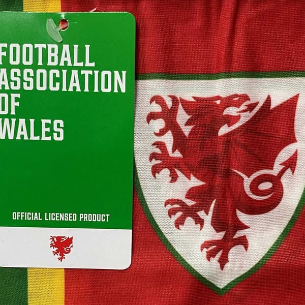 FA Wales Retro Halsduk