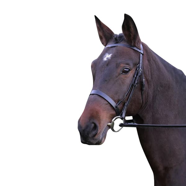 Hy Hunter Läder Träns med Gummi Grepp Tygel