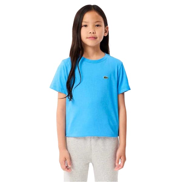 Lacoste Childrens/Kids Basic Embroidered Regular T-Shirt