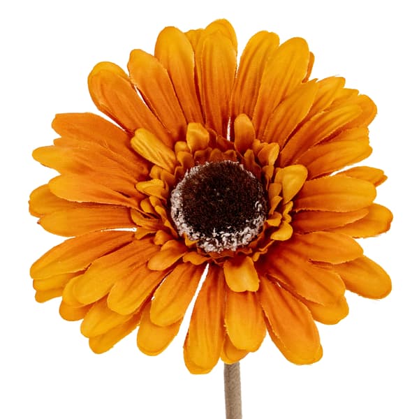 Hill Interiors Soft Gerbera Gerbera Artificial Flower