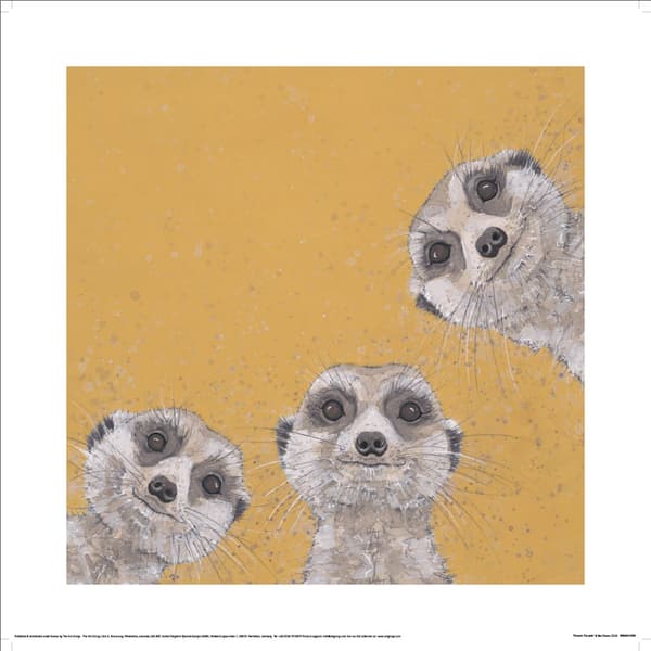 Bev Davies Three´s Trouble Printed Print