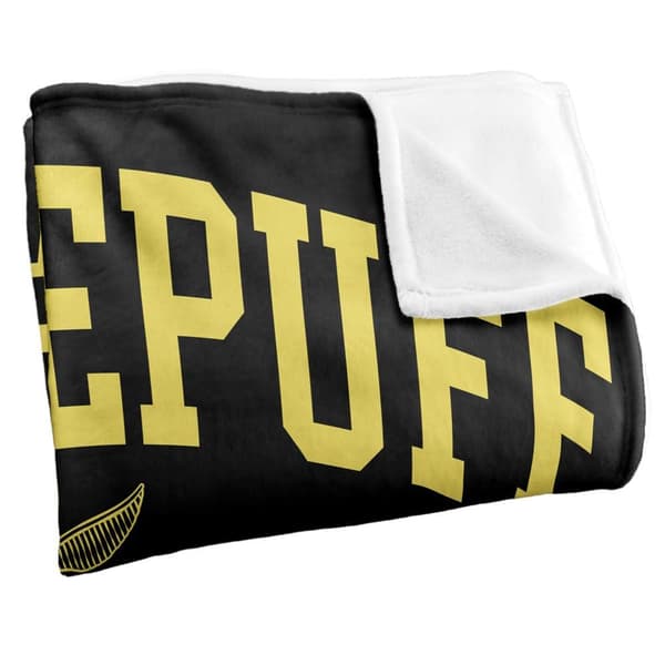 Harry Potter Quidditch Arch Hufflepuff-viltti
