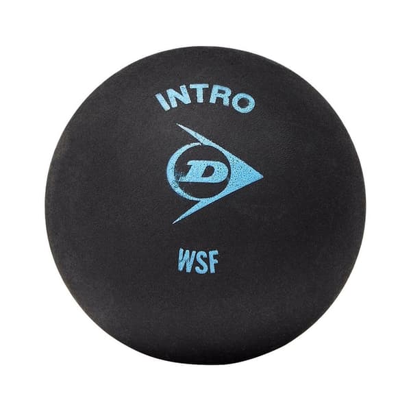Dunlop Intro Squashbollar (12-pack)