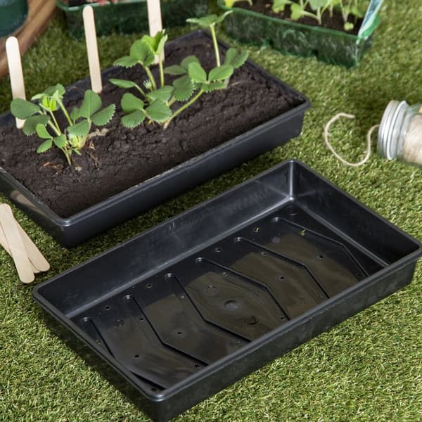 Eden Seed Tray Large Black 38 x 22cm