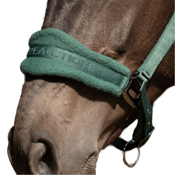 Hy ProReaction Horse Headcollar