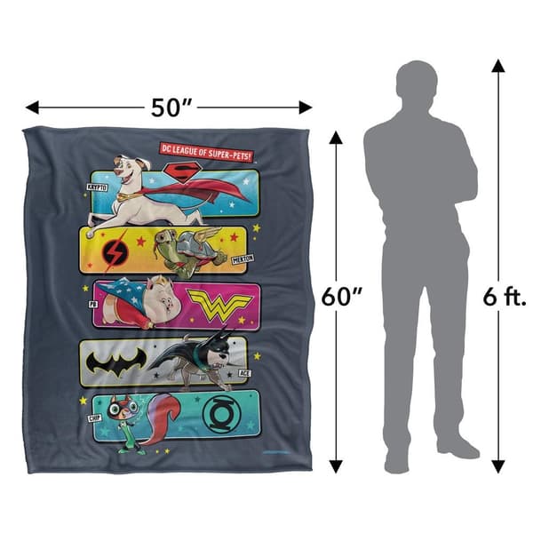 DC Comics League Of Super Pets Character Panel Blanket
