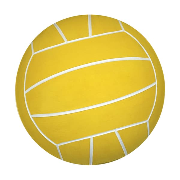 SwimTech Water Polo Ball
