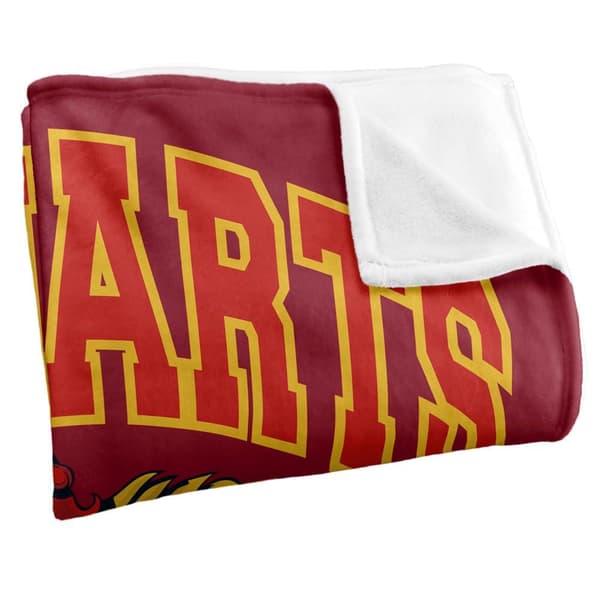 Harry Potter Hogwarts Alumni Gryffindor Blanket