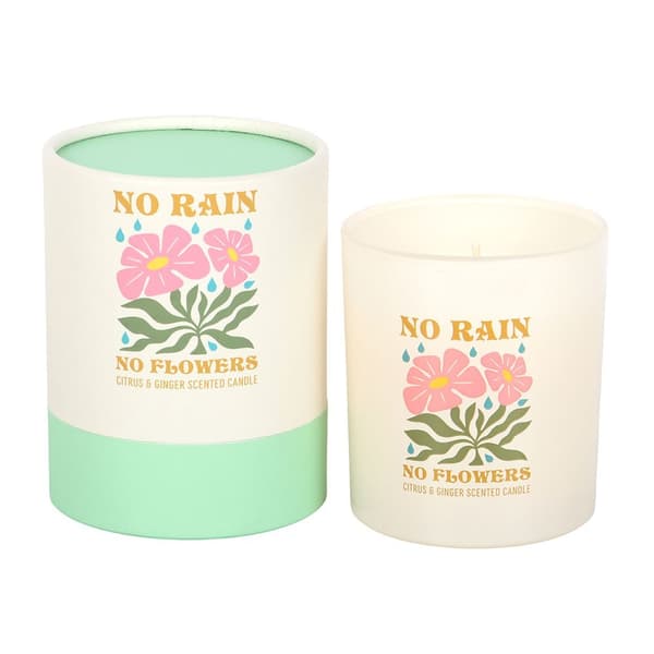 Something Different No Rain, No Flowers Citrus & Ginger Scented Candle
