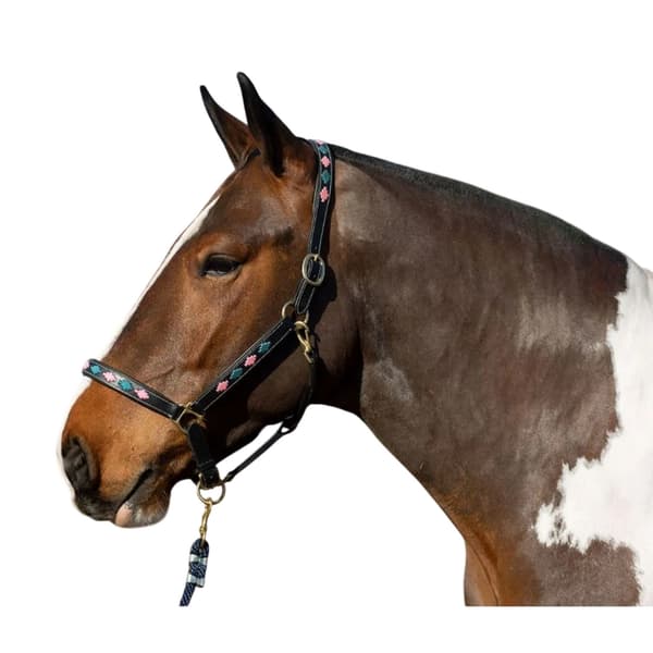Gallop Diamond Vadderad Lädergrimma för Häst
