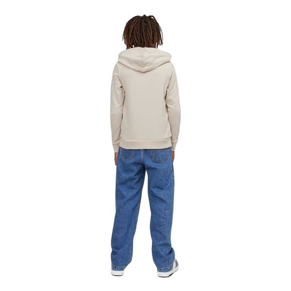 Jack And Jones Boys Bradley Pullover Hoodie